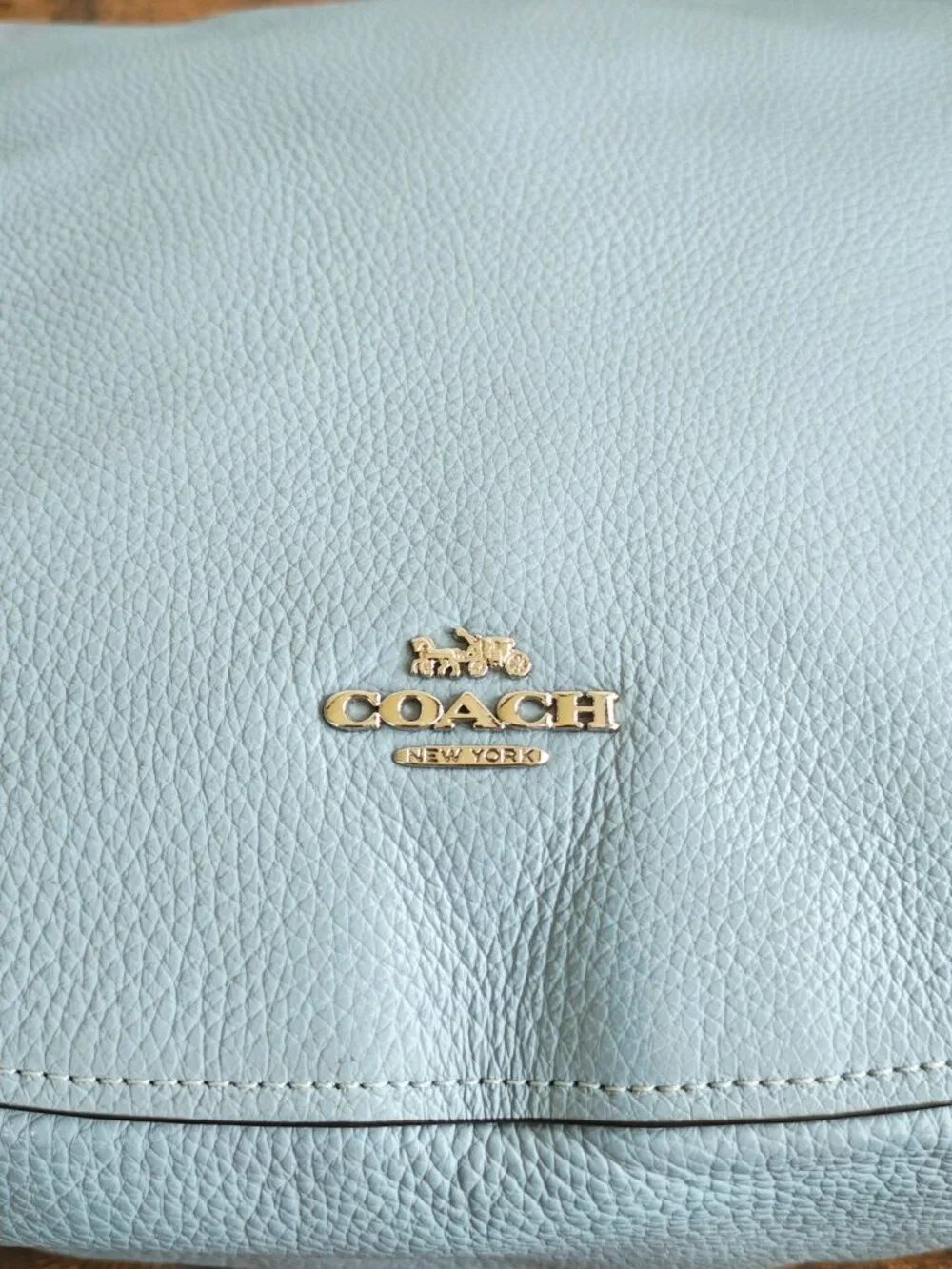COACH Chelsea Hobo Bag